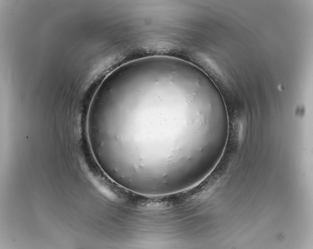 X0000092060638200709121355