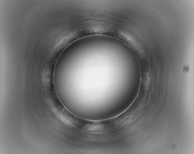 X0000092060639200709121355