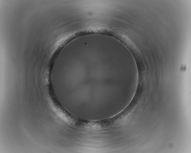 X0000092060640200709121355