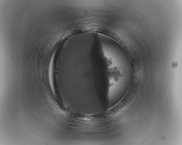 X0000092060641200709121355