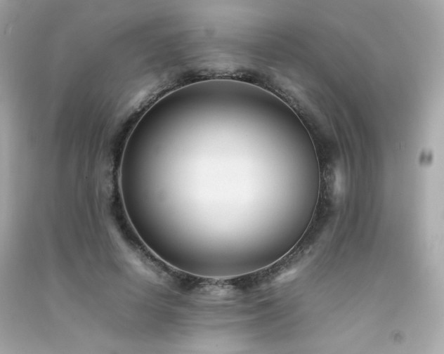X0000092060642200709121355