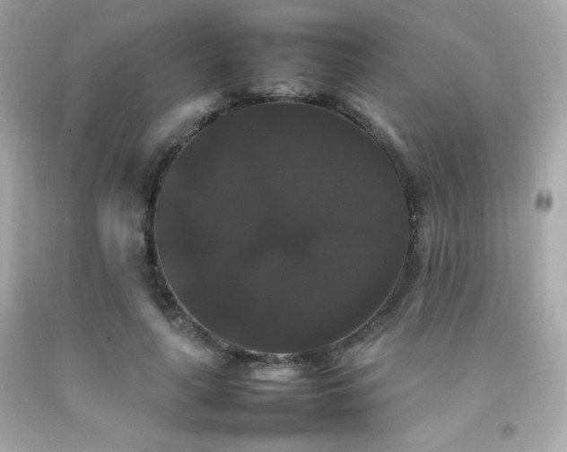 X0000092060643200709121355