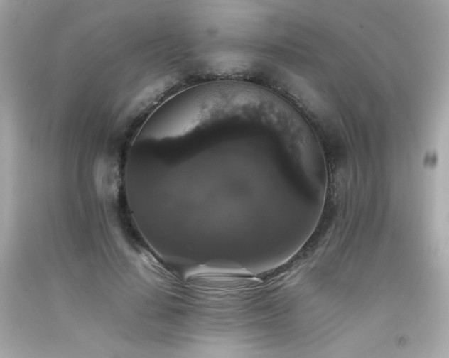 X0000092060644200709121355