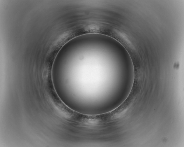 X0000092060645200709121355