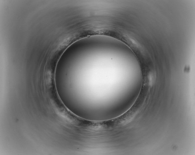 X0000092060646200709121355