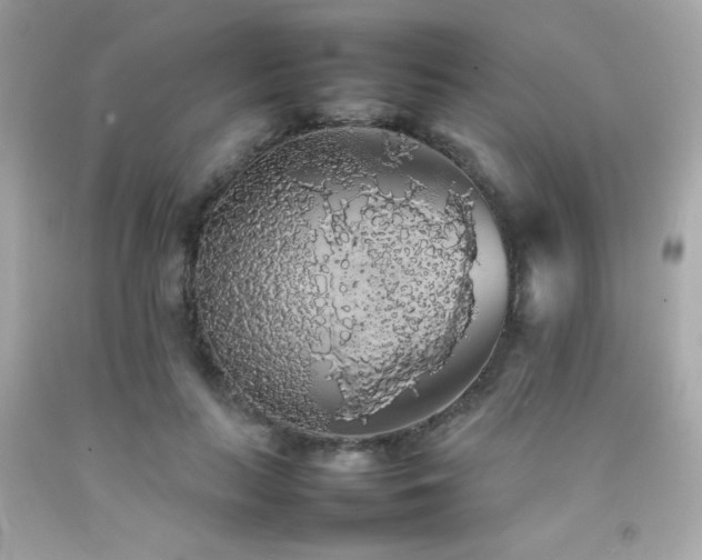 X0000092060647200709121355