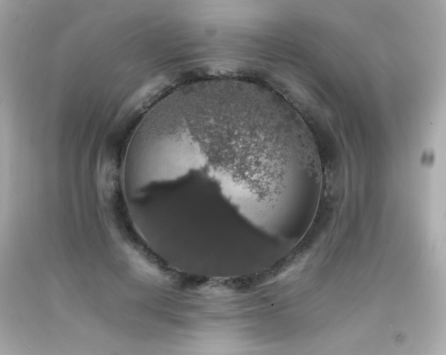 X0000092060648200709121355