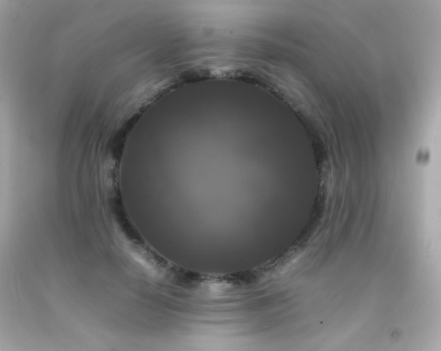 X0000092060650200709121355