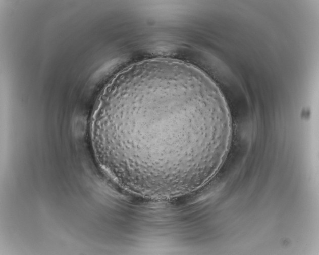 X0000092060652200709121355