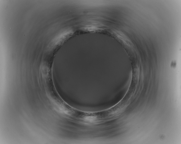 X0000092060653200709121355
