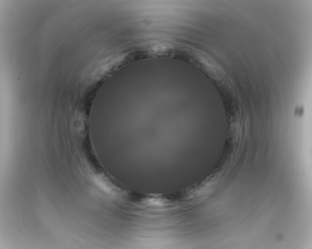 X0000092060654200709121355
