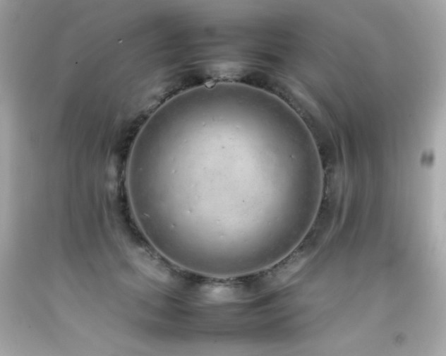 X0000092060655200709121355