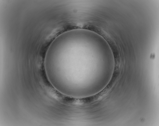 X0000092060656200709121355