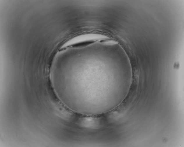 X0000092060657200709121355