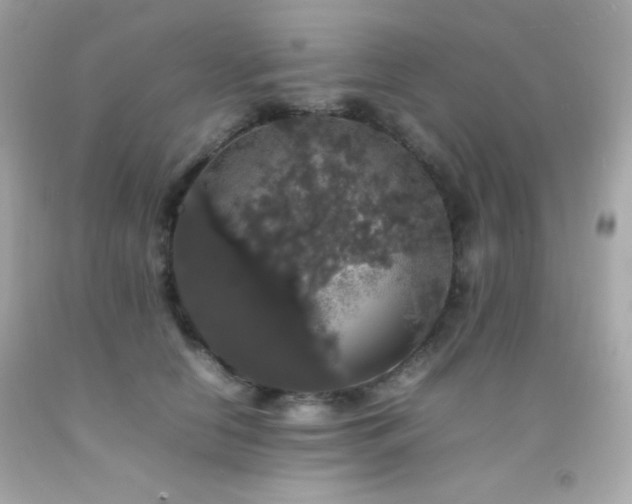 X0000092060658200709121355