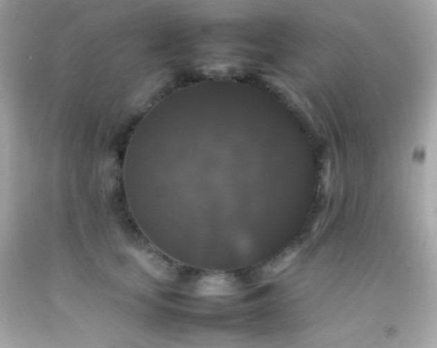 X0000092060659200709121355