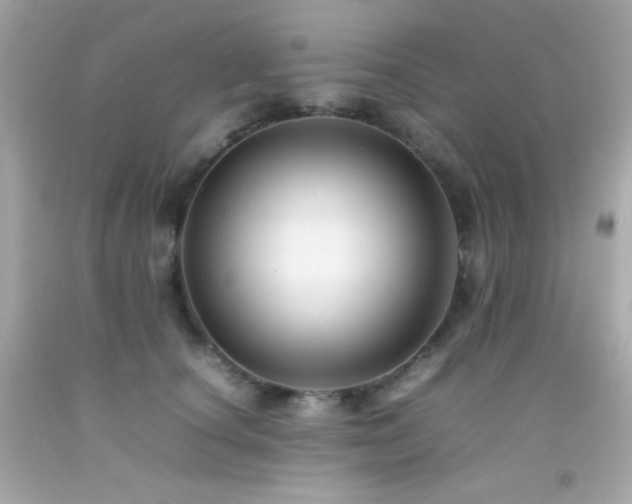X0000092060660200709121355