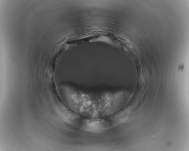 X0000092060661200709121355