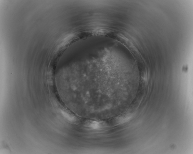X0000092060663200709121355