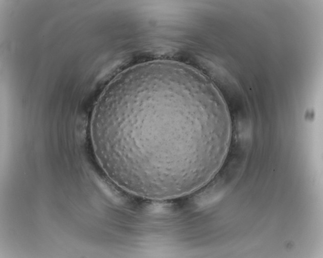 X0000092060664200709121355