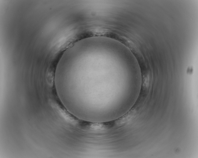 X0000092060666200709121355