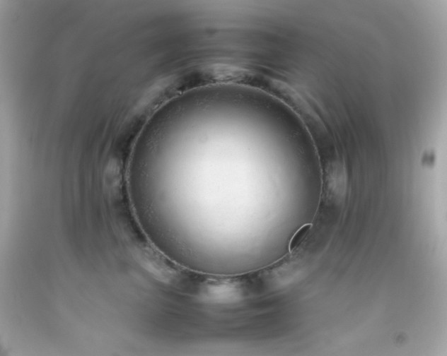 X0000092060667200709121355