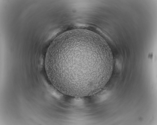 X0000092060668200709121355