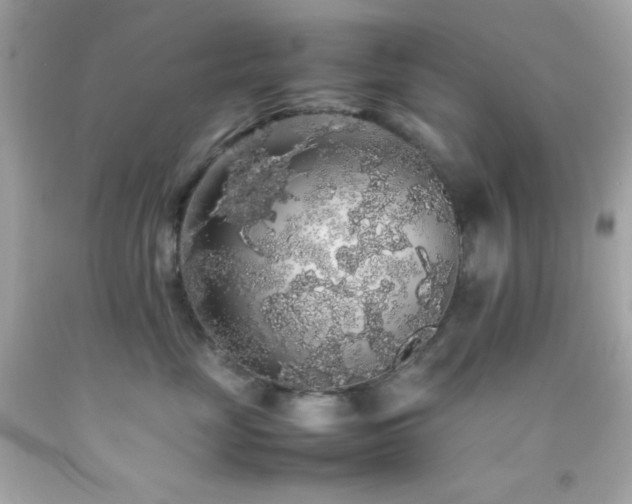 X0000092060669200709121355