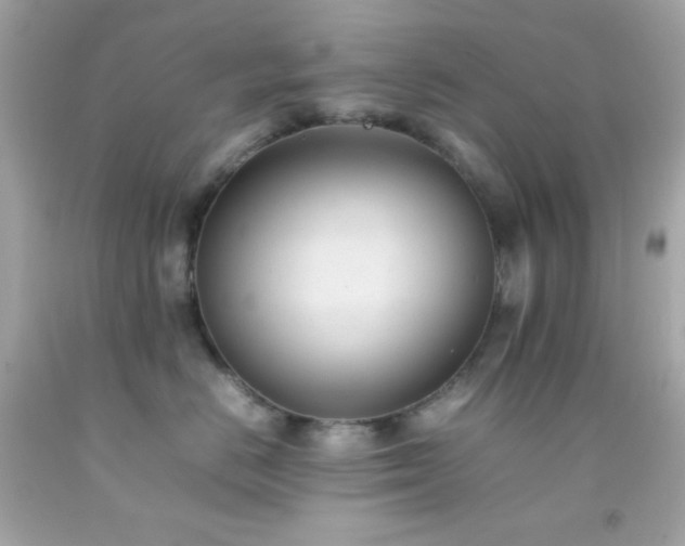 X0000092060670200709121355