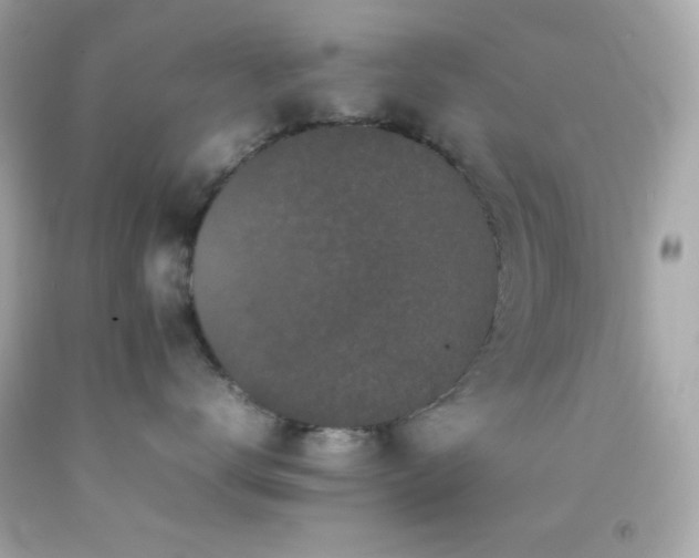 X0000092060672200709121355