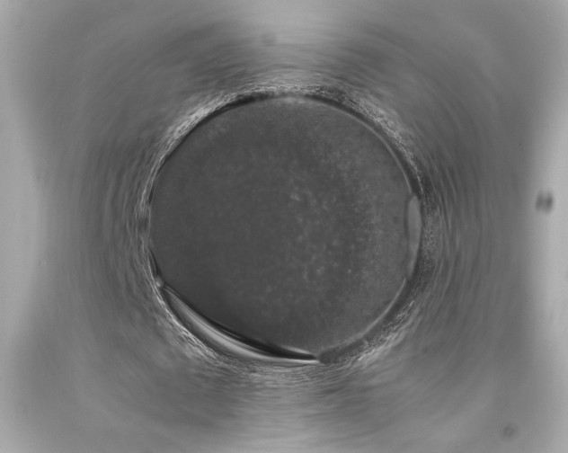 X0000092060673200709121355