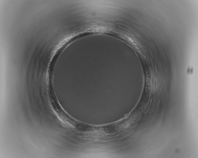 X0000092060674200709121355