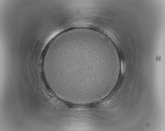 X0000092060675200709121355