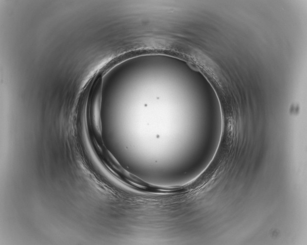 X0000092060676200709121355