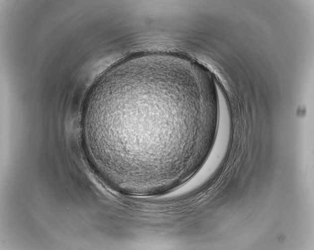 X0000092060677200709121355