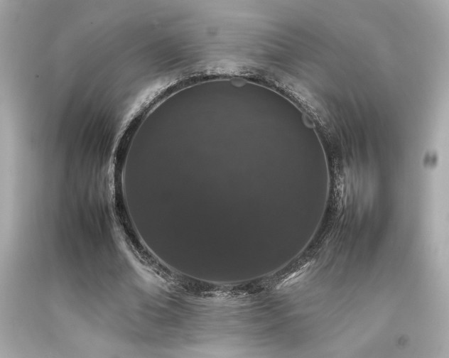 X0000092060678200709121355