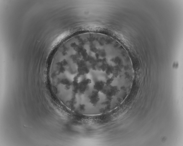 X0000092060679200709121355