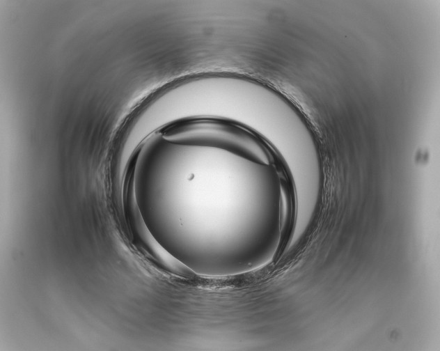 X0000092060680200709121355