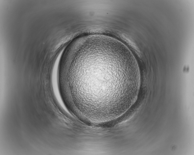 X0000092060681200709121355