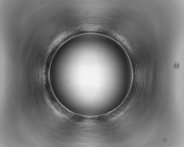 X0000092060682200709121355