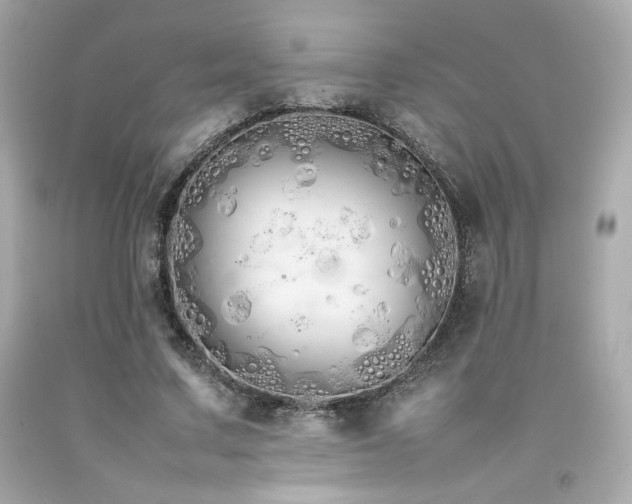 X0000092060683200709121355