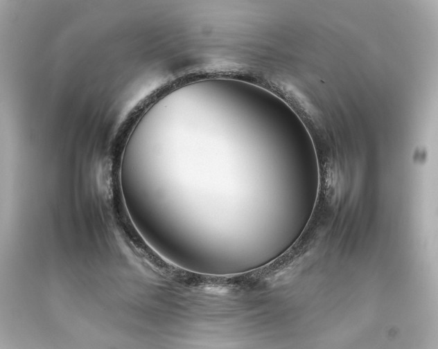 X0000092060684200709121355