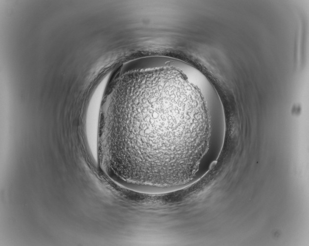 X0000092060685200709121355