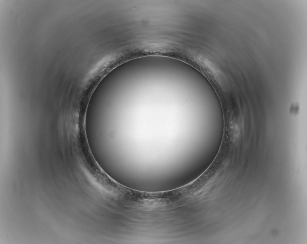 X0000092060686200709121355