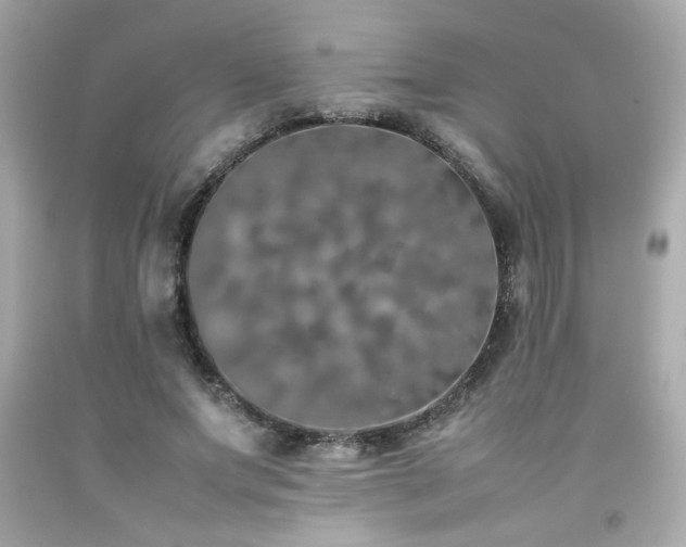 X0000092060687200709121355
