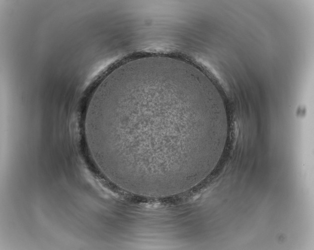 X0000092060688200709121355