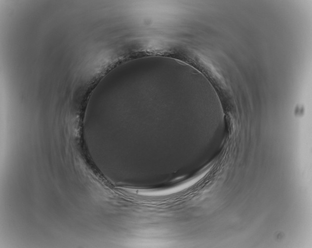 X0000092060689200709121355