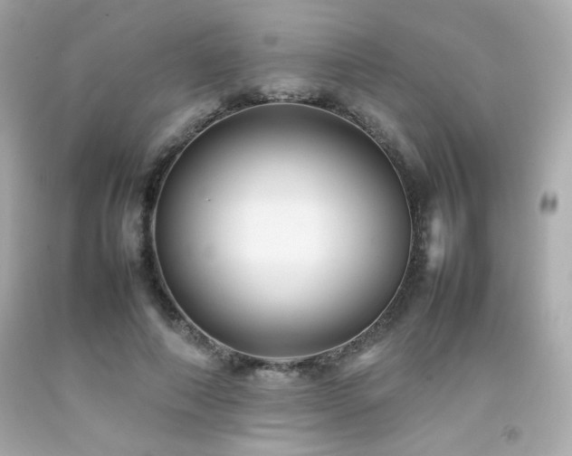 X0000092060690200709121354