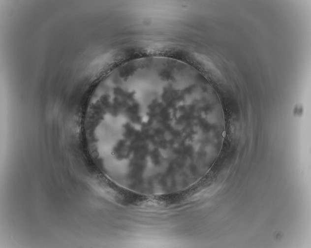 X0000092060691200709121354