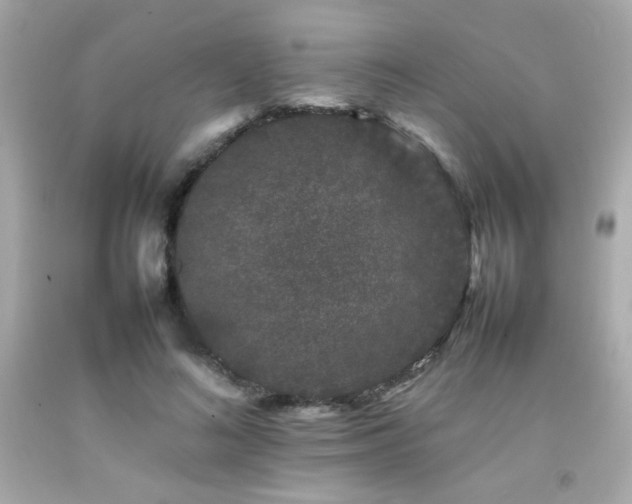 X0000092060692200709121354